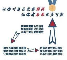 more是什么意思中文翻译 more是什么意思