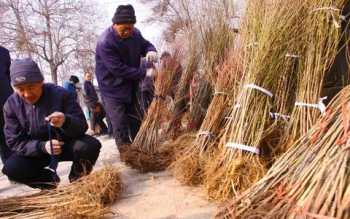 top原则指什么 天时地利人和英文