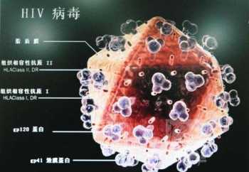 "感染”的英语是什么 flu，和the flu什么区别