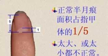 中指没指甲 为什么女生做指甲不做中指和食指