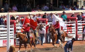 stampeders stampede