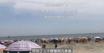 海狼怎么钓 电影英国海狼什么时候拍的