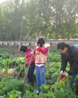 随它而去是什么意思 男生说去吧的真正意思