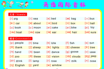 26个英文字母的正确发音 24个英文字母标准发音