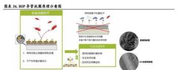 内销外销有什么区别 内销