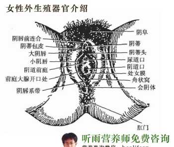 广东肠粉哪里可以学 需要多少钱陕西有陪训的吗 广东肠粉培训学校