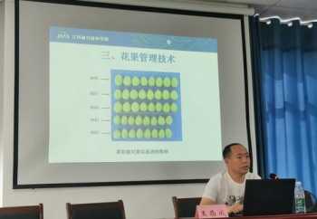 0基础学英语四级什么网课好用 远程教育的本科生可以报考大学英语四六级吗