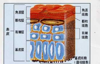 讲师培训的方法和技巧 零基础如何成为讲师