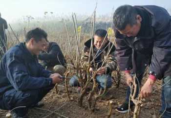 更进一步近义词 更进一步的更什么意思