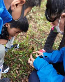 法国留学中介机构 法国留学中介机构哪个比较好