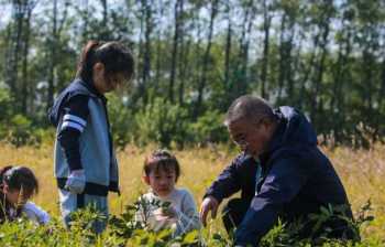 狼窝 狼窝是什么地方