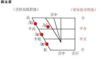 语音学和音系学的区别 音索是什么意思