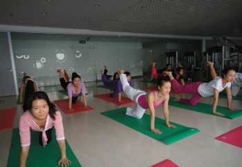 国内正规瑜伽学校排名 全国排名前十瑜伽培训学院
