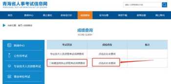 计算机省二级成绩查询入口官网 二级成绩