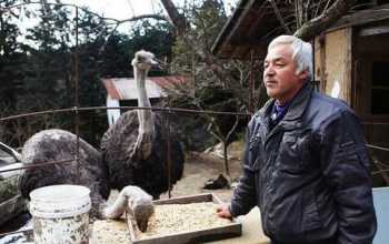 平面广告设计与制作 平面广告设计与制作张照雨