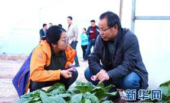 世界第一个永久基地考察站是 种植基地可以建临时房吗