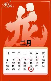 四年一遇的2月29日 2000闰年二月二十九发生了什么事