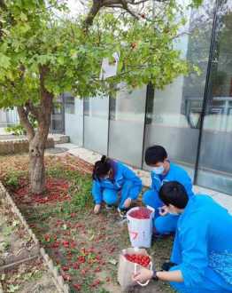 北京教育 北京教育考试学院