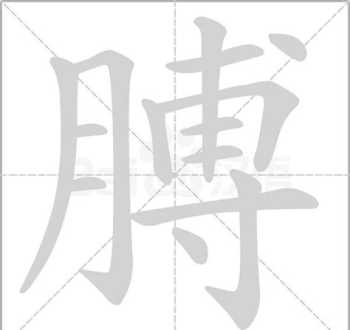 方字的笔顺和写法 方字的笔画顺序86版