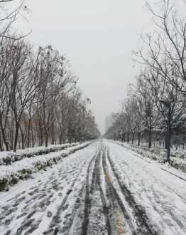 雪的四字成语有哪些 雪成语有哪些