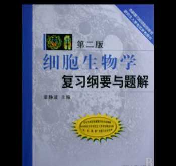 广州王森西点烘焙学校官网招聘 广州王森西点烘焙学校官网