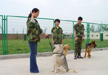 培训师培训公司 培训师培训学校