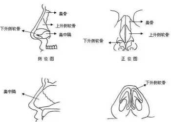 画室名字大全简单洋气 最新最好听洋气的画室名字大全