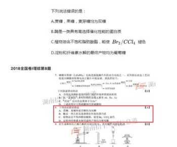 广东省教育考试网 广东省教育考试网入口