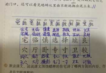 段字有几画 段的笔顺