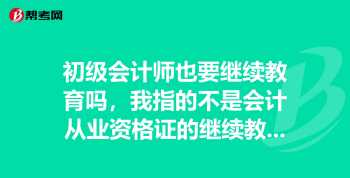 请教，会计师职称是指的什么？如上 会计师资格