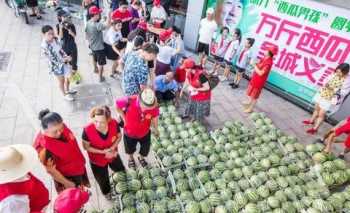 摄影培训学费多少钱一年 摄影培训学费多少钱