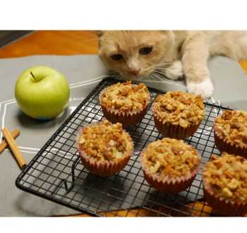 muffins英语怎么读 muffin