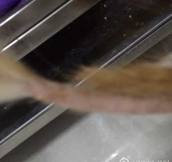 编程猫60课时收费明细 编程猫收费价格