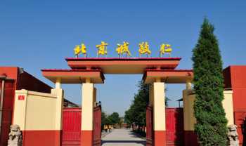 中央圣马丁学院 adcc什么学校