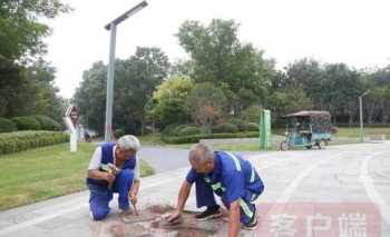 郑东新区龙子湖小学 郑东新区龙子湖小学排名