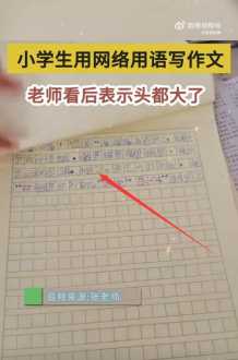 小学作文辅导视频 播放小学作文辅导