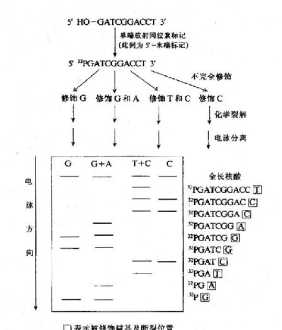 临床助理医师 临床助理医师报名考试时间