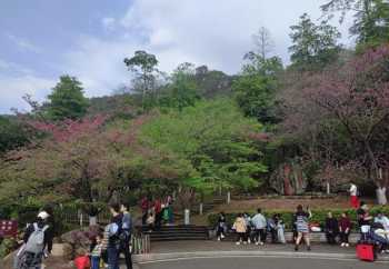 福州樱花日语培训 福州樱花国际日语招聘