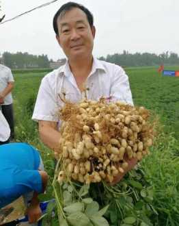 管理会计师报名时间 管理会计师报名时间和科目