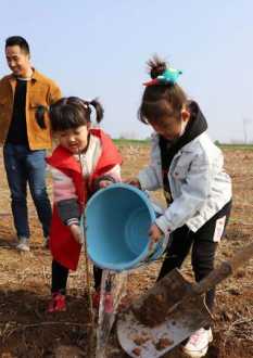 arbor day Arbor day和Tree Planting Day有什么区别