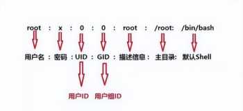 电脑中的User是什么意思 user是什么意思