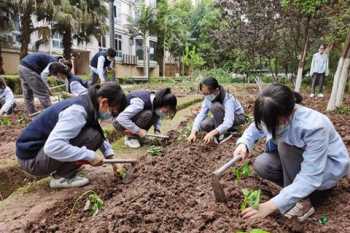 中小学学生学籍查询入口学信网 中学生服务性劳动包括哪些