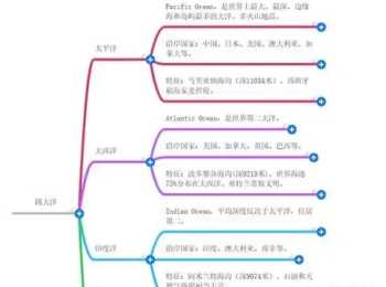 脑图英语 MindMap是什么意思及用法