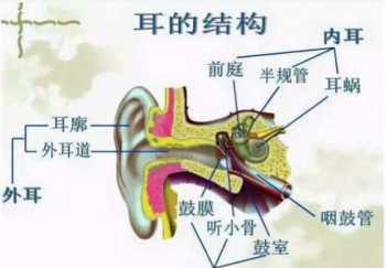 北京丰台又确诊两例新冠肺炎患者，以后会不会扩散，还会封城吗 摇篮英语