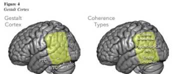 brain brain和mind的区别