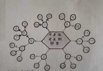 识字写字的教学方法 识字教学