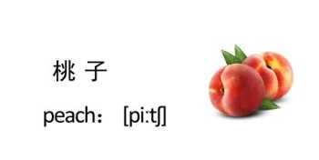 桃子、苹果、西瓜、梨、芒果的英语是什么 桃子的英文