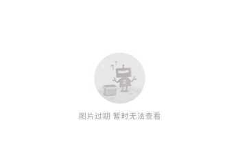 小兔子怎么念 rabbit怎么读