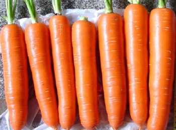 thecarrotsaretheirs的同义句 胡萝卜的英文单词