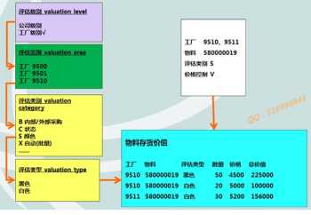 语言学category名词解释 category是什么意思